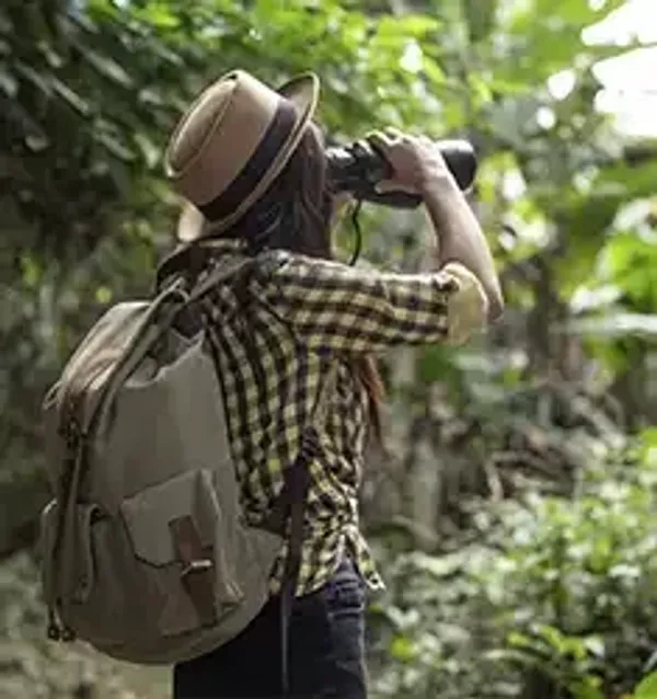 Programa PNIS campesinos